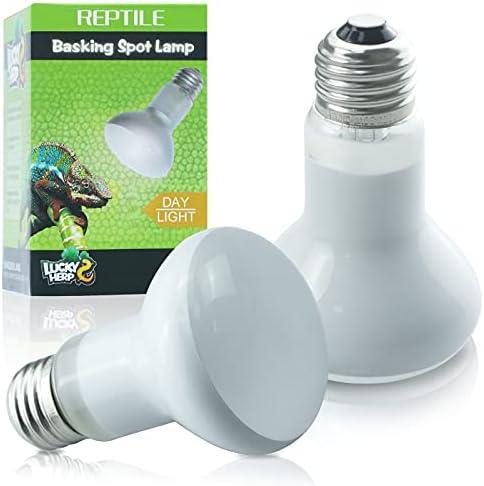 Krasses Leuchten: Check die UV Lampe Terrarium für deine Reptilien!