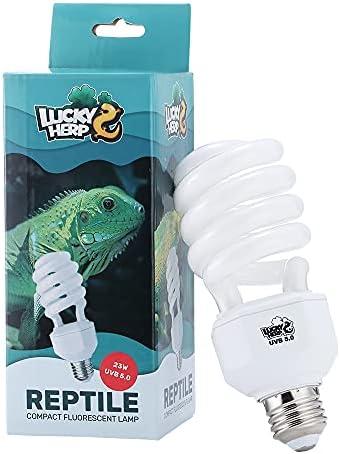Krasses Leuchten: Check die UV Lampe Terrarium für‍ deine Reptilien!