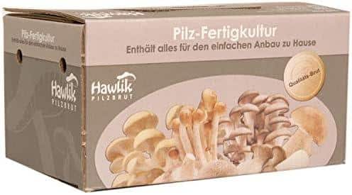 Selber Züchten mit Hawlik: Frische Champignons für Zuhause!