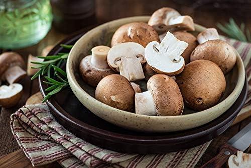 Selber Züchten mit ‍Hawlik: Frische Champignons für Zuhause!