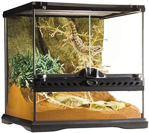 Hey du, Lass uns über die⁤ Kunst der Terrariumgröße, Technik​ und Einrichtung plaudern!