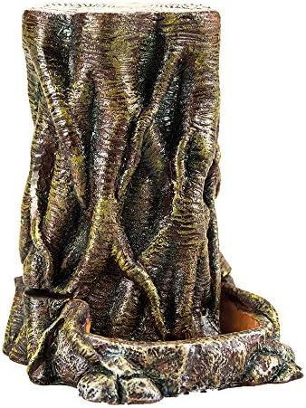 Hey du, Lass uns über die Kunst der⁤ Terrariumgröße, Technik und Einrichtung plaudern!