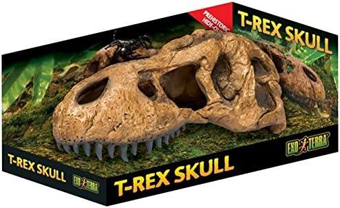 Hey du, Lass uns über die Kunst der⁤ Terrariumgröße, Technik und Einrichtung plaudern!