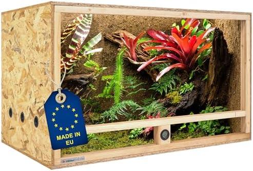 Alles, was du​ über Terrariengröße, Technik und Einrichtung wissen musst!