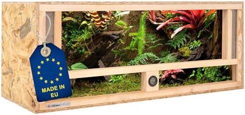 Alles, was du über Terrariengröße, Technik und Einrichtung wissen musst!