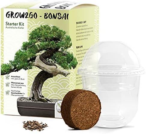 Wir testen das GROW2GO Bonsai Starter Kit – Das perfekte Geschenk für Pflanzenliebhaber!