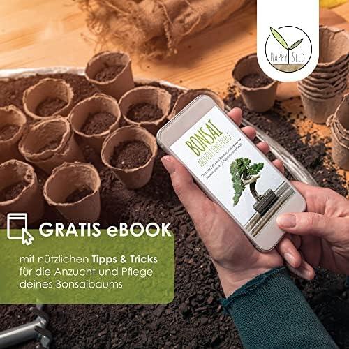 Wir testen das GROW2GO Bonsai Starter ⁢Kit⁤ - ​Das perfekte Geschenk für Pflanzenliebhaber!