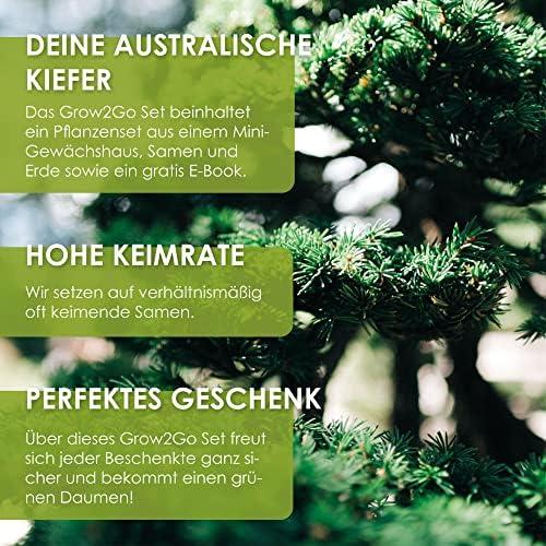 Wir testen das GROW2GO Bonsai Starter Kit - Das perfekte Geschenk für Pflanzenliebhaber!