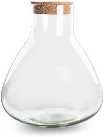 Du hast ​Lust‍ auf​ Terrariumgröße Technik Einrichtung? Hier sind die‍ besten Tipps!