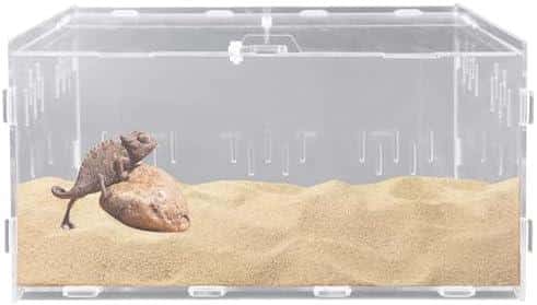 Alles, was du über Terrariumgröße, Technik und Einrichtung wissen ⁤musst - ‌ein Leitfaden