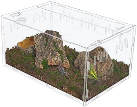 Entdecke die Welt der Terrariumgröße: Technik ‌und Einrichtung für deine kleinen grünen Freunde!