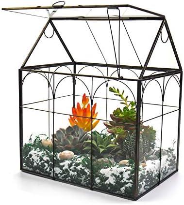 Entdecke​ die‌ Welt der ⁢Terrariumgröße:​ Technik und Einrichtung für deine kleinen grünen ‍Freunde!