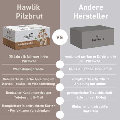 Wir haben es getestet: Hawlik Pilzbrut Zuchtbox - Einfach Pilze⁣ selber züchten