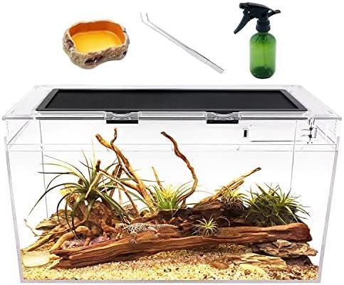 Die ultimative Terrariumgröße Technik Einrichtung: Alles, was‌ du wissen ‌musst!