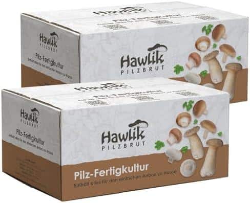 Schritt ‌für Schritt zu frischen Pilzen: Unser Erfahrungsbericht zum 2x Champignon Pilzkulturen Zuchtbox Set!