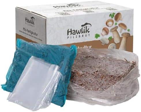 Schritt für ⁢Schritt zu frischen Pilzen: Unser ⁣Erfahrungsbericht zum⁢ 2x Champignon Pilzkulturen Zuchtbox Set!