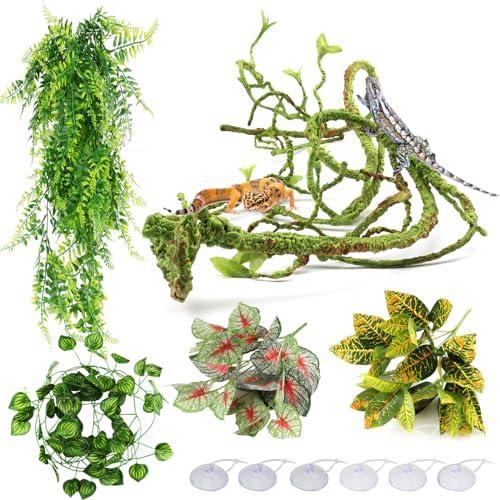 Alles⁤ über die neueste Terrariumgröße Technik und Einrichtung