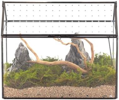 Alles über die neueste Terrariumgröße Technik und Einrichtung