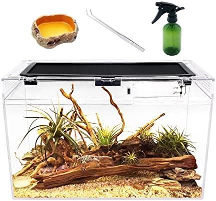 Lass uns über ‍die ​perfekte Terrariumgröße, Technik und Einrichtung sprechen!