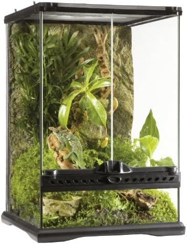 Hey du! Bock auf Terrariumgröße Technik Einrichtung: So richtest du dein Terrarium richtig ein!