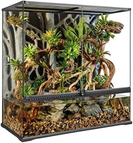 Hey du! Bock auf Terrariumgröße Technik⁢ Einrichtung: So richtest du dein Terrarium richtig ein!