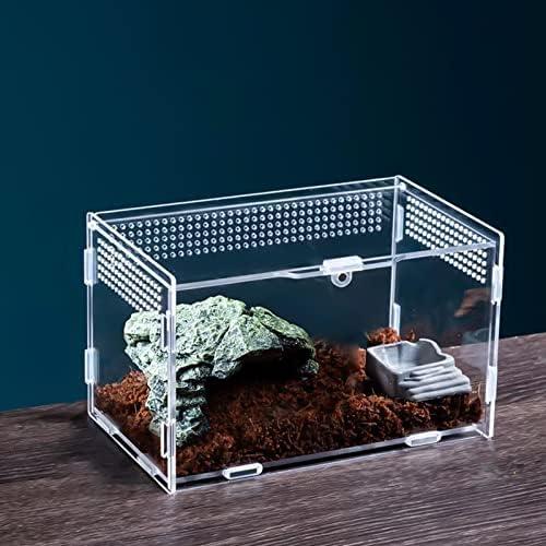 Alles über Terrariumgröße: Technik, Einrichtung und mehr!