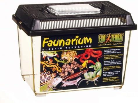 Kleine Welt, große Magie: Dein Guide für Terrariumgröße, Technik und Einrichtung