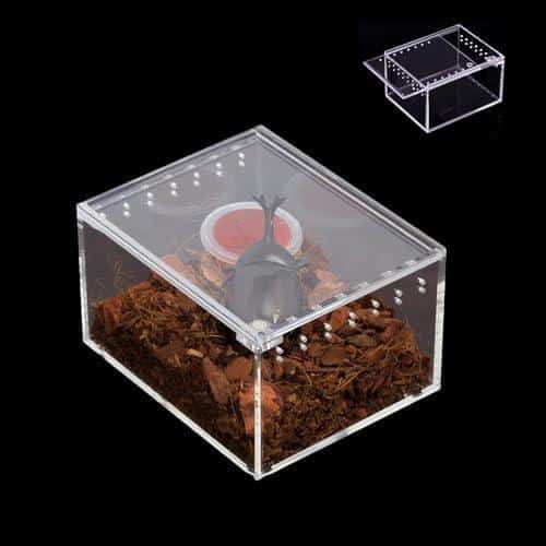 Von Mini‍ bis XL: Kreative Terrariumgröße⁤ Technik Einrichtung für jedes Platzangebot
