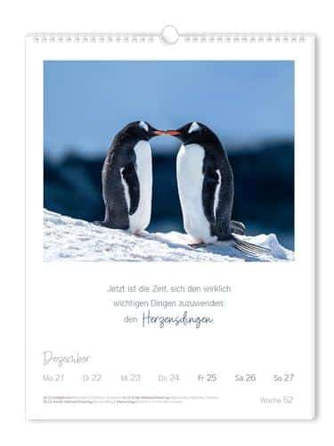 Unsere ehrliche Meinung zum Wochenkalender 2026 ⁣- Lebensweisheiten