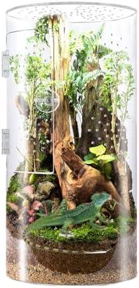 Hey du! Bock auf‌ Terrarien? Hier ist alles, was ‍du über Terrariumgröße, Technik und Einrichtung wissen musst!