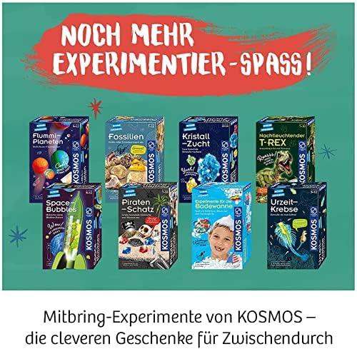 Urzeit-Krebse selber züchten: Unser Experimentier-Set für kleine Forscher