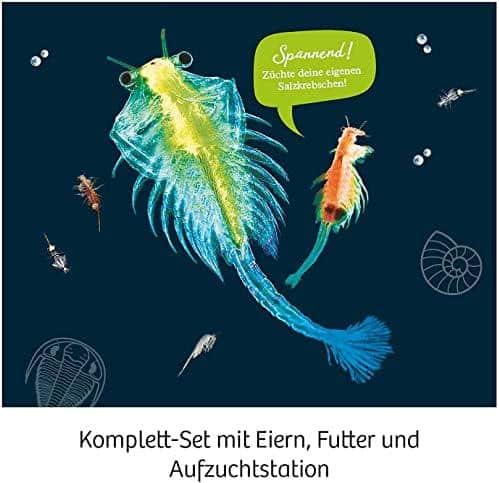 Urzeit-Krebse ⁢selber züchten: Unser Experimentier-Set für kleine Forscher