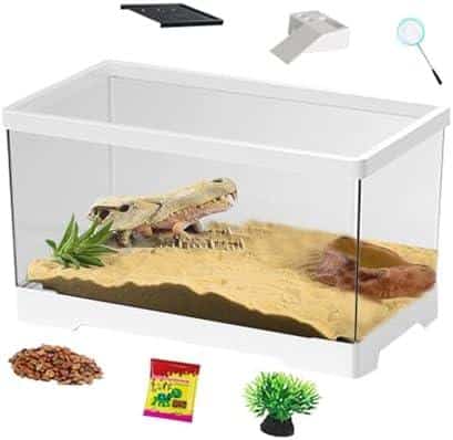 Groß, größer, Terrariumgröße: So richtest du⁣ dein​ Terrarium perfekt ein!