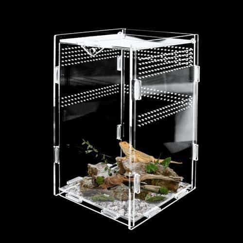 Groß, größer, Terrariumgröße: So richtest du dein Terrarium perfekt ein!