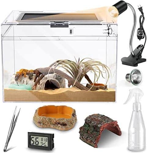 Willst du deine Terrariumgröße optimieren? Hier sind die neuesten Techniken für die Einrichtung!