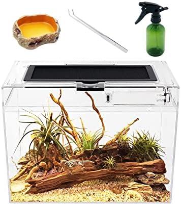 Willst du deine Terrariumgröße‍ optimieren? Hier sind die neuesten Techniken ‍für‌ die⁢ Einrichtung!