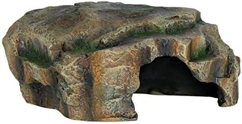 Alles über die Terrariumgröße: Coole Techniken und Einrichtungstipps!