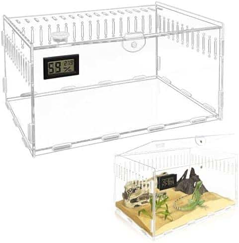 Alles über die Terrariumgröße: Coole Techniken und Einrichtungstipps!