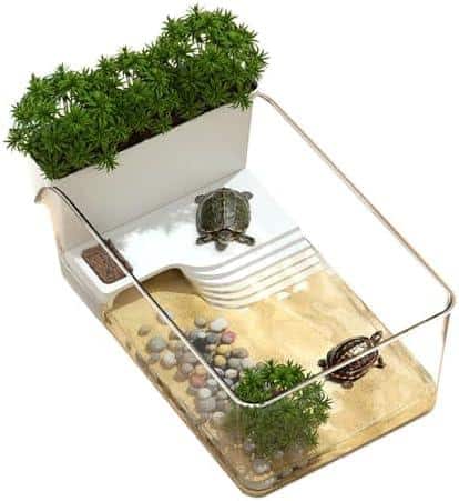 Rock deine ⁢Pflanzenwelt ​mit Terrariumgröße Technik Einrichtung