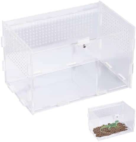 Bock auf Terrarium? Check die Terrariumgröße Technik‌ Einrichtung!