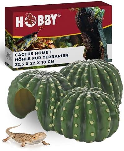 Bock ‌auf Terrarium? Check die Terrariumgröße Technik Einrichtung!