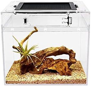 Check mal die neuesten Terrarium-Size Hacks und Einrichtungstipps aus!