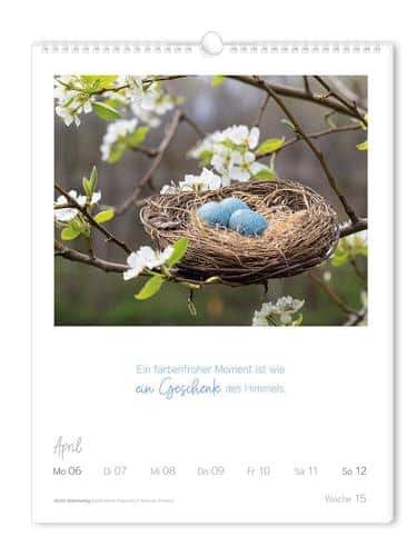 Unser Wochenkalender⁤ 2026: LebensWeisheiten‌ zum Glücklichsein