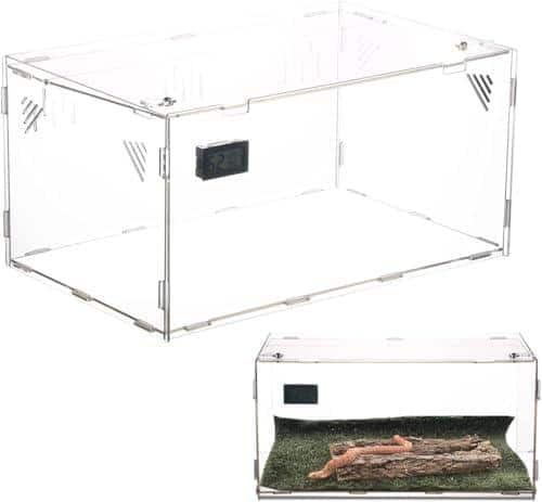 Hey du, Lust auf einen grünen Daumen? Erfahre alles über Terrariumgröße Technik Einrichtung!