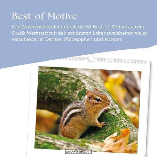 Unsere Reise mit dem LebensWeisheiten Wochenkalender 2026