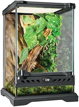 Die perfekte Terrariumgröße: Tipps und Tricks zur optimalen Einrichtung