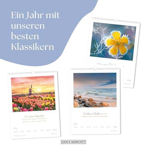 Unser ehrliches Wochenkalender 2026‌ LebensWeisheiten Review