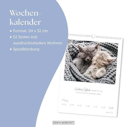Unser ehrliches Wochenkalender 2026 LebensWeisheiten Review