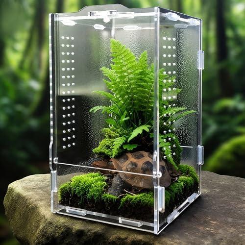 Kleine Welten zaubern: Tipps für Terrariumgröße, Technik und Einrichtung