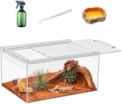 Kleine Welten zaubern: Tipps für Terrariumgröße, Technik und Einrichtung